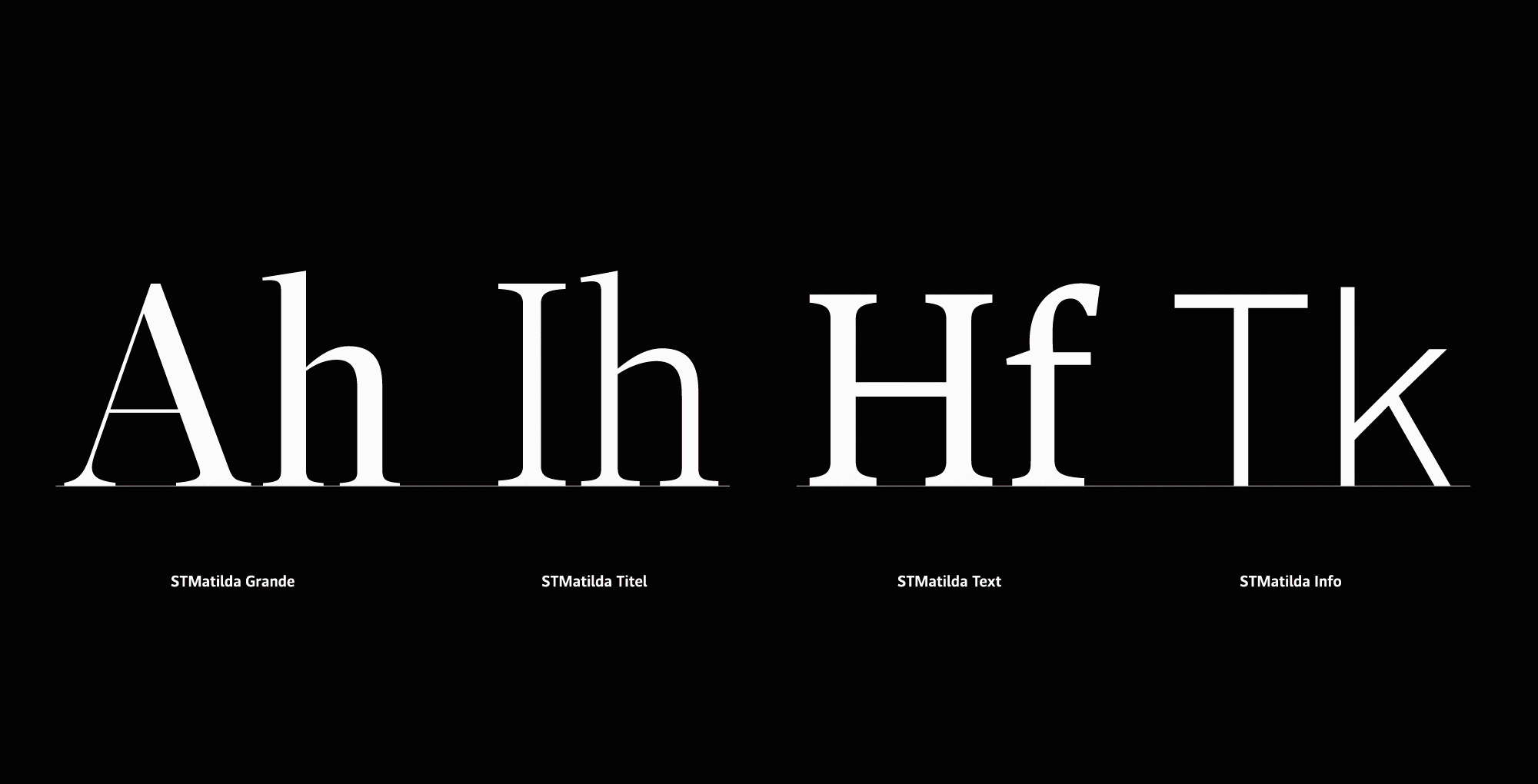 Custom Fonts for Der Standard